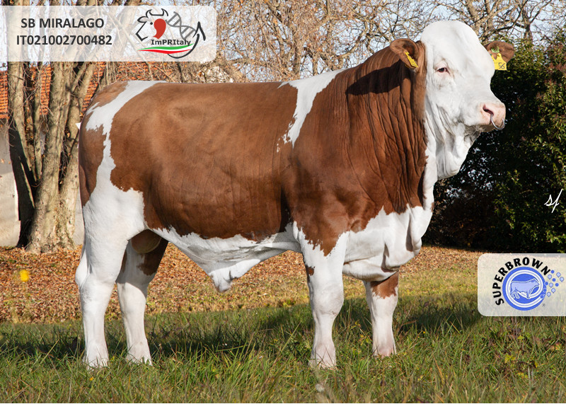 SB MIRALAGO IT021002700482