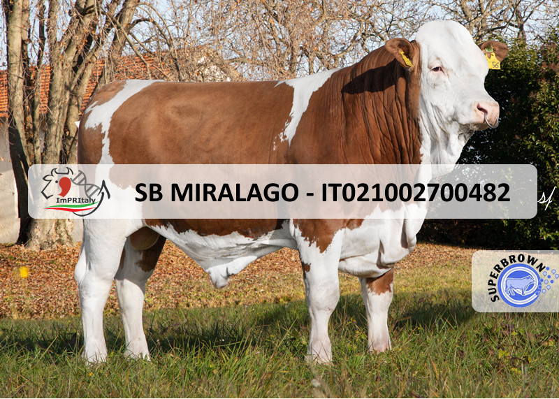 SB MIRALAGO