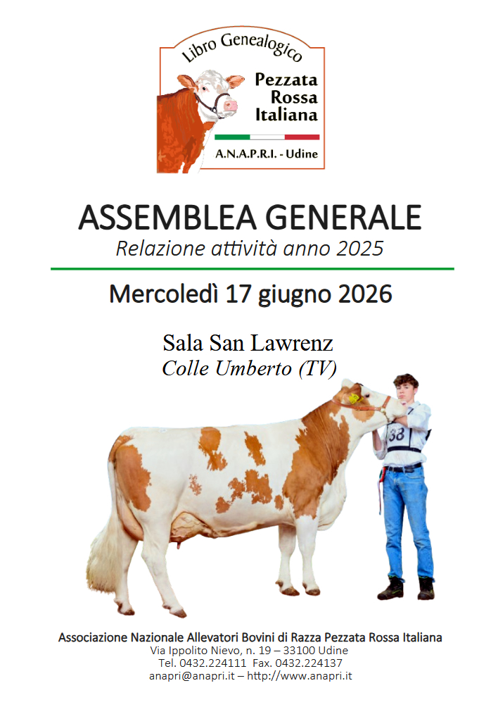copertina assemblea