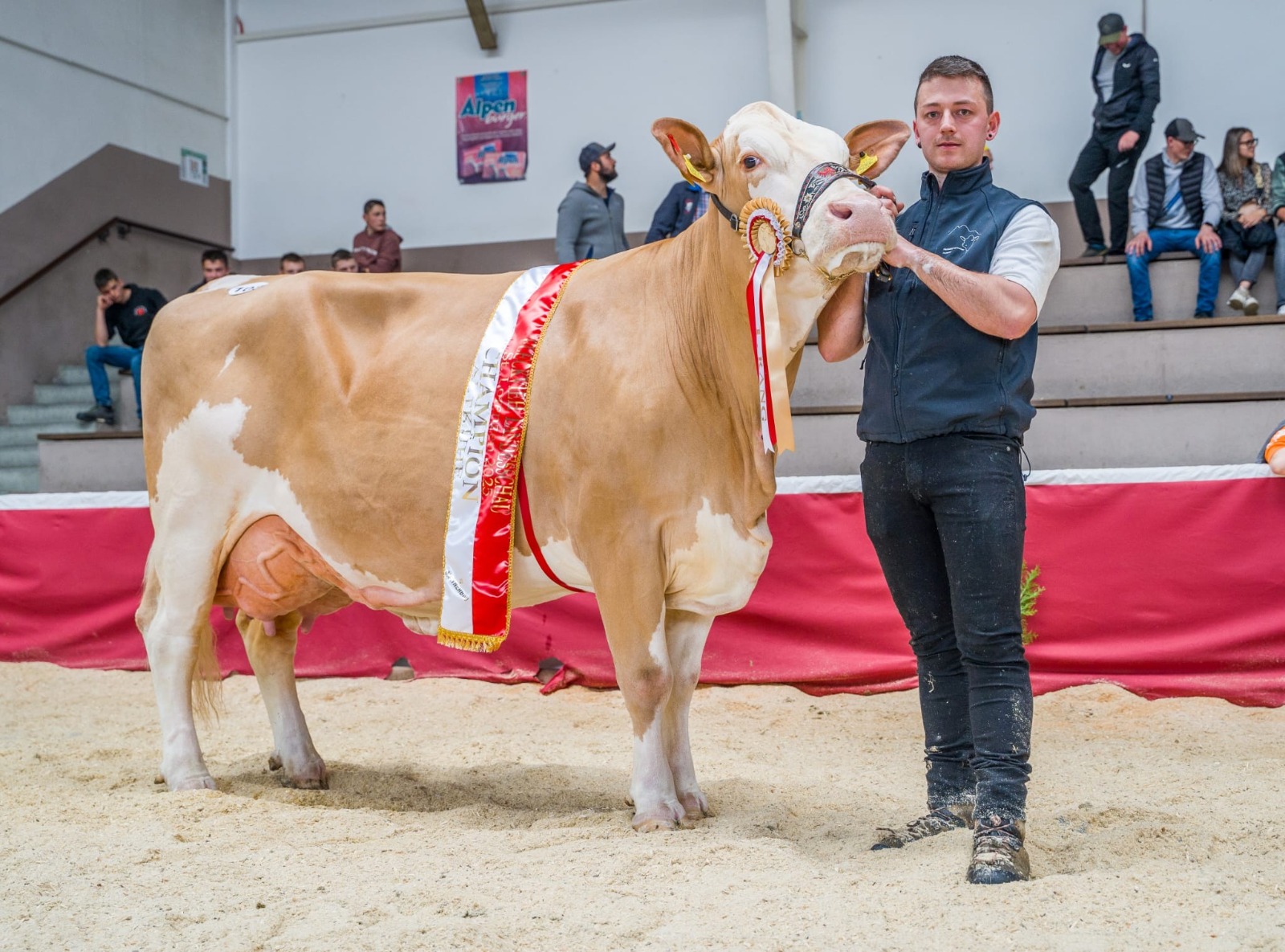 WhatsApp Image 2025 04 28 at 16.53.32