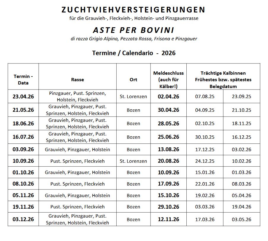 calendario asteBZ modello