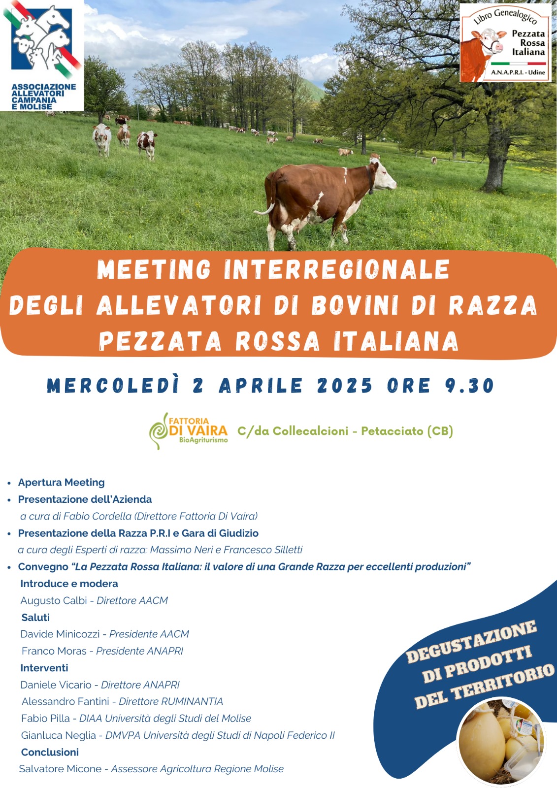 485351196 1201979865172754 3149940272319388505 n