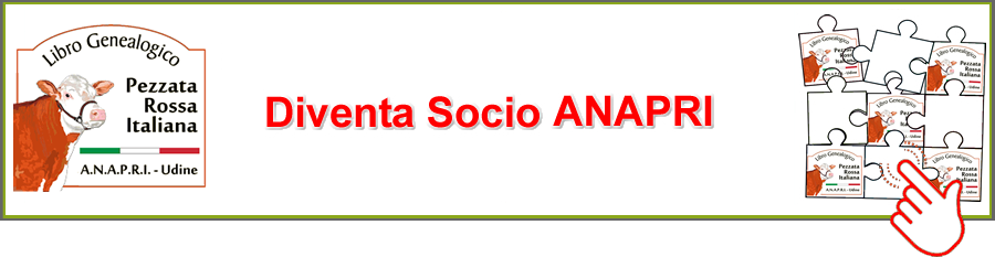 DIVENTA SOCIO ANAPRI
